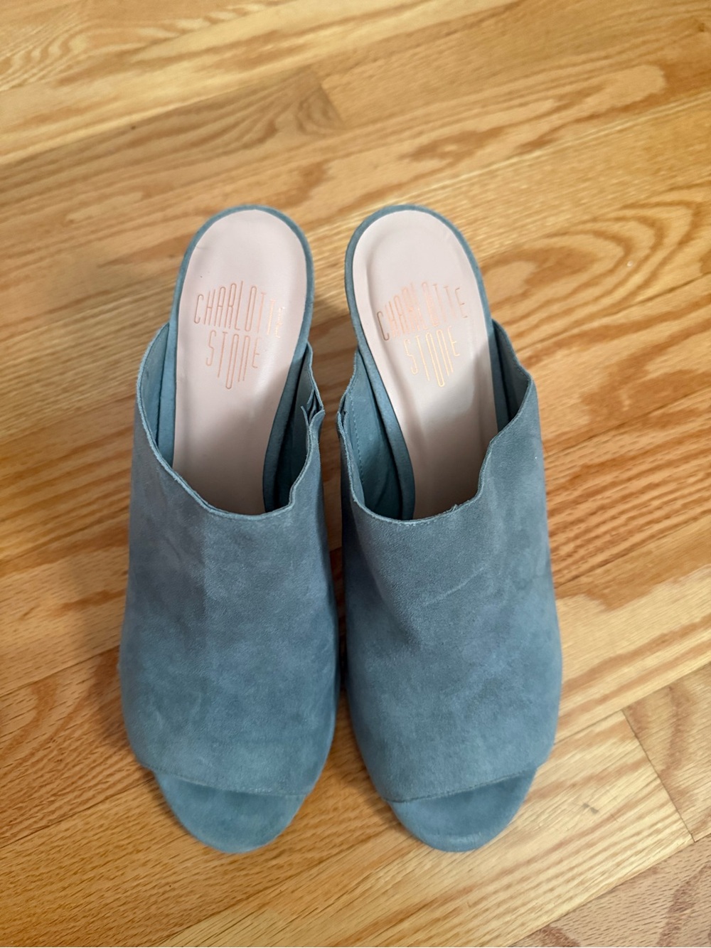 Charlotte Stone Suede Open-Toe Slide Mules in Slate